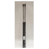 Trunk Hydraulic Lifters