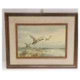 Vintage Wildlife Duck In Flight Print
