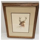 Vintage Print By Mads Stage Of Deer