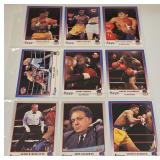 1991 Kayo Boxing Cards