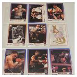 1991 Kayo Boxing Cards