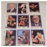 1991 Kayo Boxing Cards