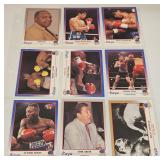 1991 Kayo Boxing Cards