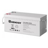 Renogy Deep Cycle AGM Battery 12v-200Ah