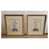 Framed Botanical Prints Pair