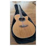 Carlo Robelli acoustic electric guitar with new