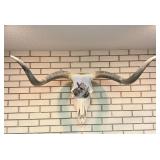Hand painted longhorn skull signed RJD 04 45
