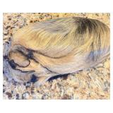 Light Brown Wig unsure if its real, we think it is