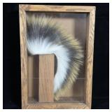 Plains hair roach, Porcupine & White Tail Deer>
