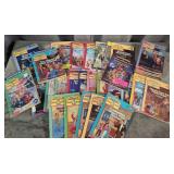 The Bailey school kids chapter books
