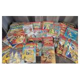 The magic school bus chapter books