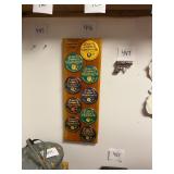 Vtg Super Bowl Champions Button Display