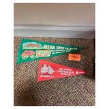 Vtg Oklahoma Museum Felt Pennants