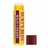 $10 Burt's Bees 100% Natural Moisturizing Lip Balm
