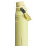 $35 Stanley the IceFlow Fast Flow 24 Oz Bottle wit
