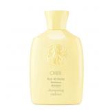 $20 Hair Alchemy Resilience Shampoo