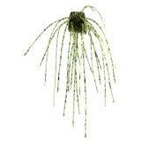 $8 3 Brothers Baits Loaded Dice