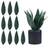 $8 summer flower 9inch 10pcs Snake Plants Set