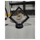 $55 madagascan ammonite fossil Jay King in floatin