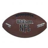 $22 Wilson NFL Pro Jr Composite Football