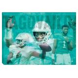 $40 Open Road Miami Dolphins Tua Tagovailoa 23' x