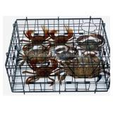 New $25 Marathon Folding Crab Trap10.5' x10.5' x6'