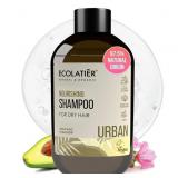 $13 ECOLATI R Moisturizing Shampoo for Dry Hair -
