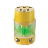 $15 Leviton Commercial and Residential Vinyl Light