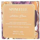 $32 Spongelle Multi Use Boxed Flower (Autumn Bloom