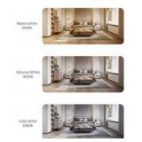 $180 Dimmable LED Adjustable Surface Mounted led s