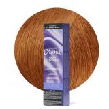 $14 L'Or al Technique Excellence Cr me Hair Color