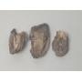 TUCSON Premium Collectibles Auction Saturday 7:30 PM 6/14/25 ID: 9951 (TUC)  (47 lots)