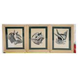 (3) 1970's Original Bird Painting