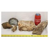 Fossilized Petrified Wood & Cut Geode Specimens
