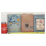 1902 Adventures Of A Brownie 2 More Antique Books