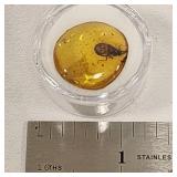 Fossilized Burmese Amber Encased Coleoptera Beetle