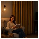 SunZero Greyson Curtain Panel: Thermal