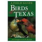 Hardcover by Rappole: Birds of Texas Field Gd
