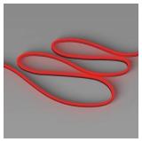 6' LED Neon Rope Light w/ Remote: Clear White