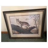 Trooper Island Wildcat RJ McDonald 32x26