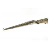 Ruger 10-22 Manlicher 22 lr