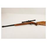 Marlin/Glenfield 60 .22LR