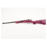KSA crickett .22 LR