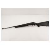 Ruger American .22 WMR