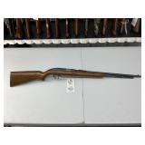 Winchester Model 77 .22LR