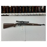 Remington Nylon 66 .22LR