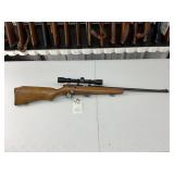 Glenfield Model 25 .22S-L-LR