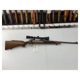 Remington Model 700 308Cal