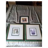 Framed Botanical Prints