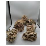 Natural Coral and Reef Rock